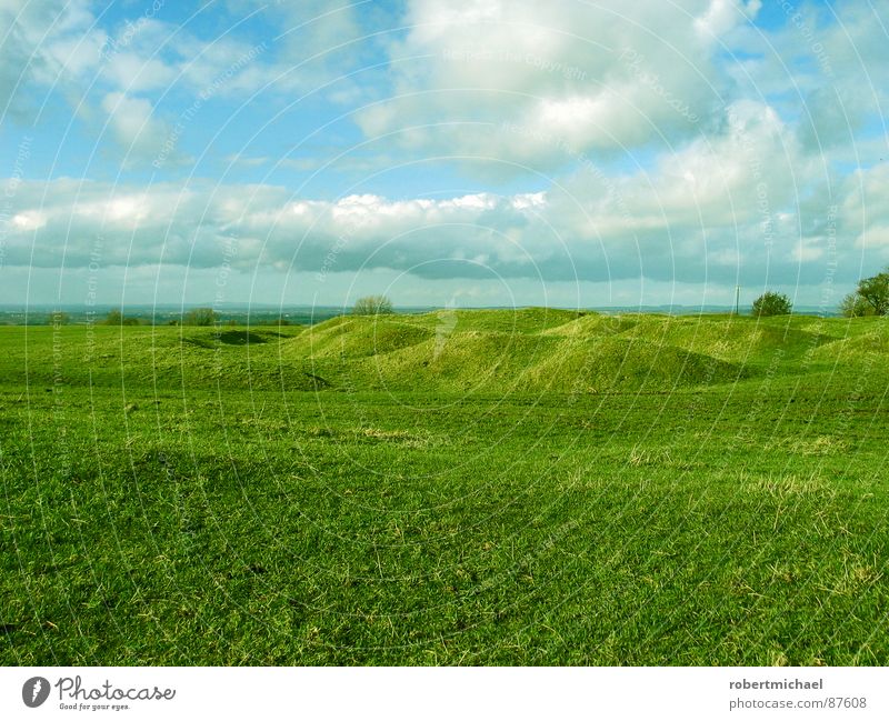 next stop: hobbitland The Shire Meadow Grass Yellow Green Alpine pasture Short Grass surface Golf course Spring Beautiful Field Bushes Structures and shapes