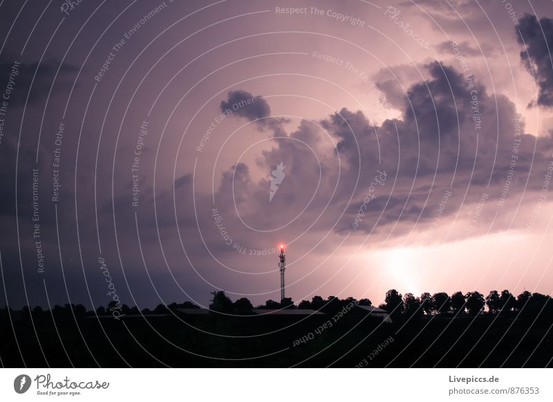 ...the last Environment Nature Landscape Sky Clouds Storm clouds Summer Thunder and lightning Lightning Plant Tree Field Illuminate Dark Gigantic Cold