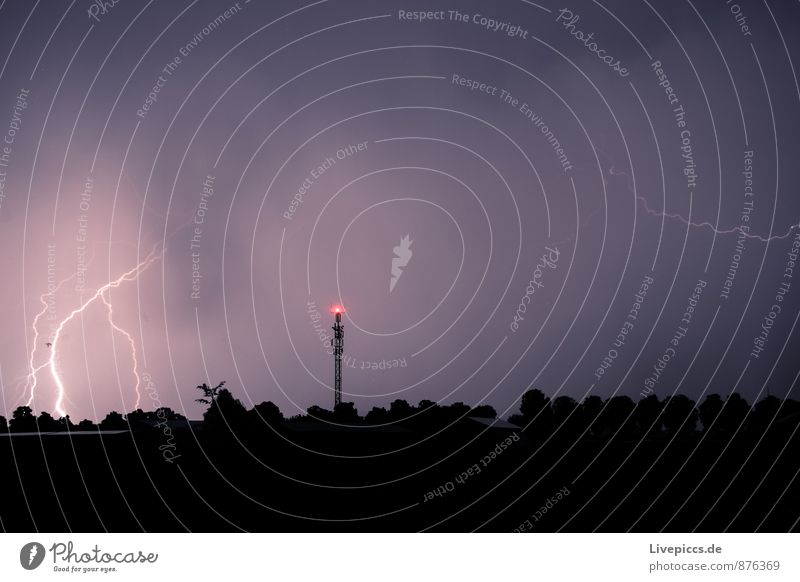 ...thunderstorms again Environment Nature Landscape Air Sky Clouds Storm clouds Night sky Summer Thunder and lightning Lightning Plant Tree Field Forest