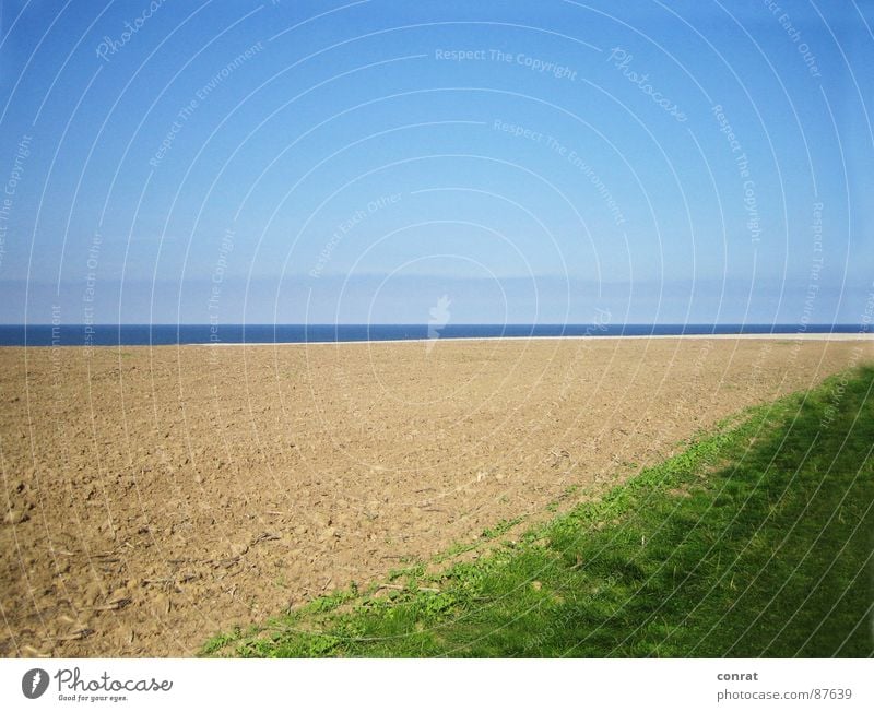 Horizons - late summer at the Baltic Sea Ocean Field Summer Meadow Beach Coast Sky Far-off places