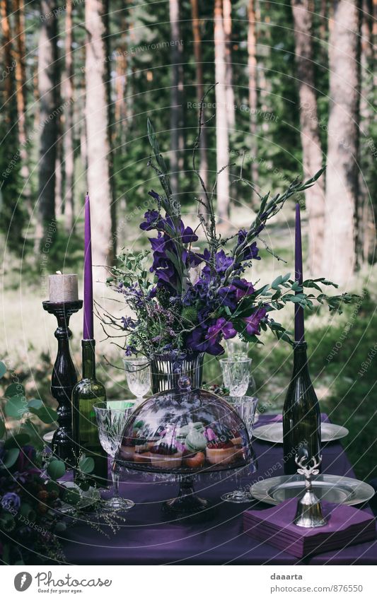 forest fairy tale Food Cake Lunch Beverage Alcoholic drinks Champagne Lifestyle Elegant Style Design Exotic Joy Leisure and hobbies Entertainment Event