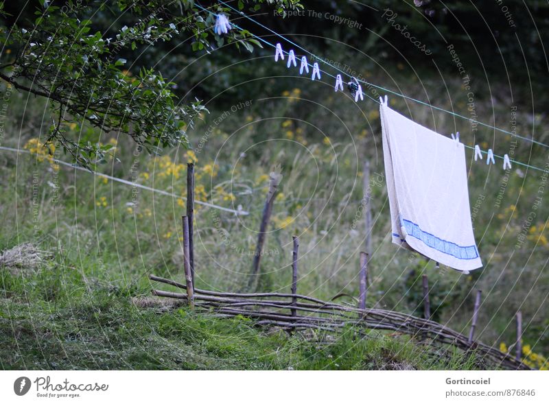 leash Garden Natural Clothesline Towel Dry Laundry Washing Retro Country life Tree Colour photo Exterior shot Copy Space left Copy Space bottom Day