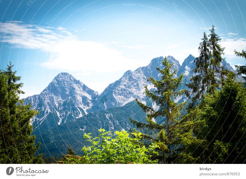 the Zugspitze Vacation & Travel Summer vacation Sky Clouds Beautiful weather Fir tree Forest Mountain Esthetic Positive Nature Federal State of Tyrol