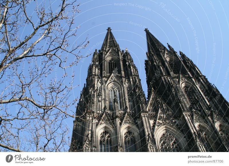 Cologne Cathedral on a sunny spring day. Photo: Alexander Hauk Tourism Art Dome Tourist Attraction Might Goodness Dedication Purity Envy Betray