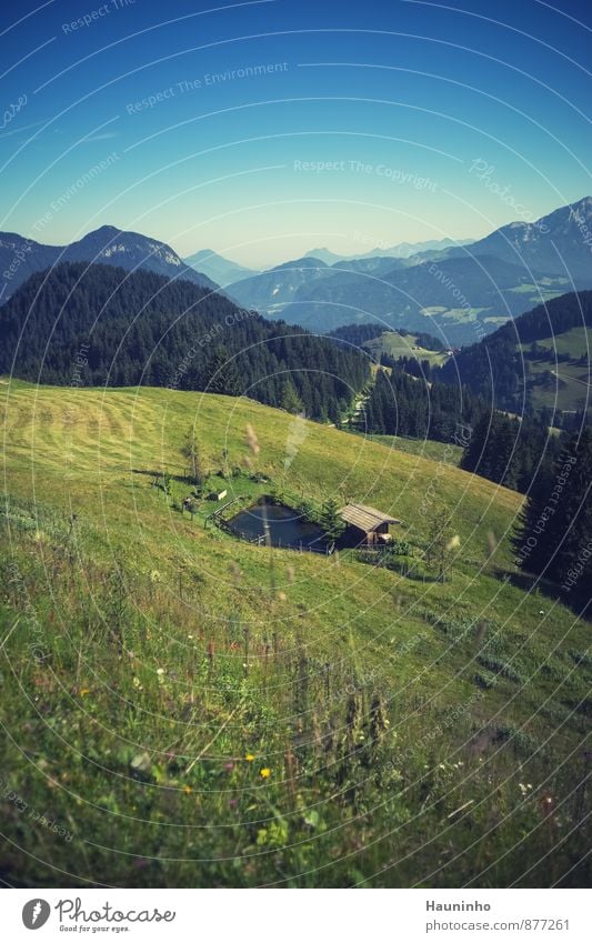 Fish ponds in the mountains Hiking Vacation & Travel Freedom Summer Summer vacation Mountain Environment Nature Landscape Sky Beautiful weather Plant Tree