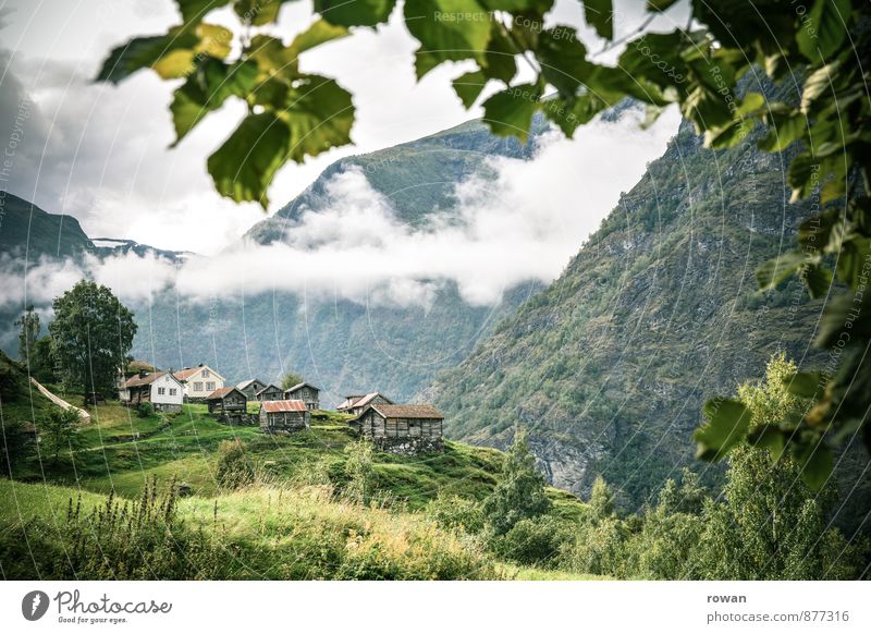 mountain village Clouds Tree Mountain Village House (Residential Structure) Hut Beautiful Mountain village Idyll Norway Height Country life Old Colour photo