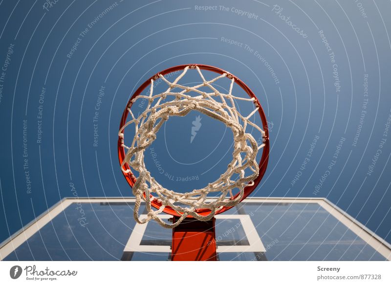 Under the basket | UT Cologne Sports Ball sports Basketball Basketball basket Sporting Complex Basketball arena Sky Cloudless sky Sharp-edged Tall Round Blue
