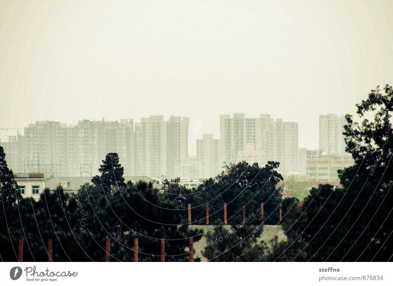 natural Beijing Landscape Tree China Skyline Overpopulated House (Residential Structure) Town Smog Contrast Exterior shot Copy Space top Panorama (View)