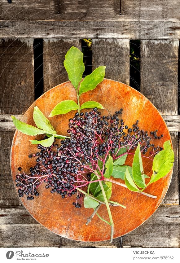 Elder branch with leaves and berries Nutrition Organic produce Lifestyle Garden Nature Plant Summer Autumn Elderberry Twig Berries Old Wood Chopping board Table