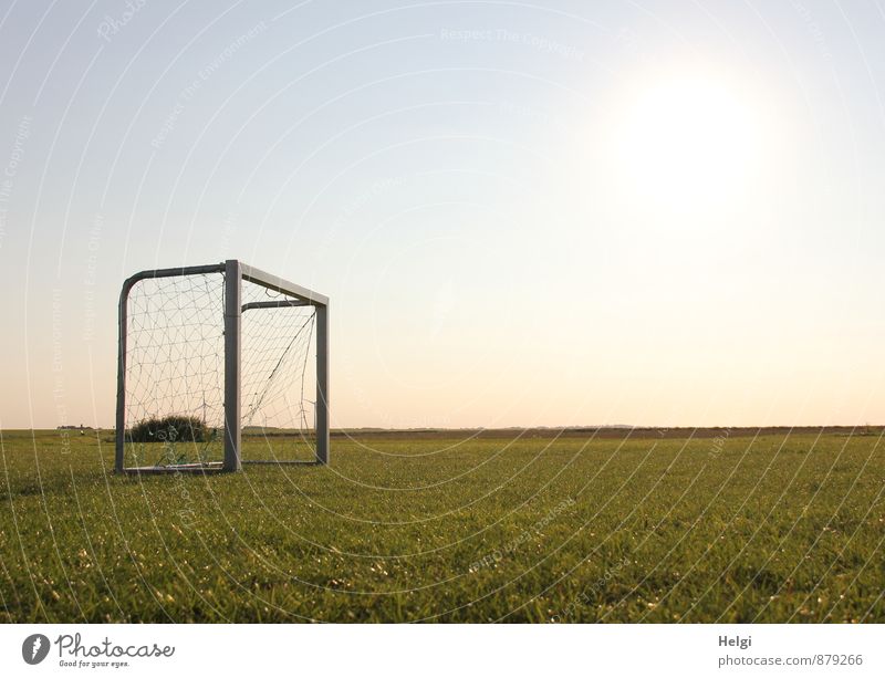 Nix los... Sports Ball sports Foot ball Football pitch Soccer Goal Environment Nature Landscape Plant Sky Sunlight Summer Beautiful weather Grass Foliage plant