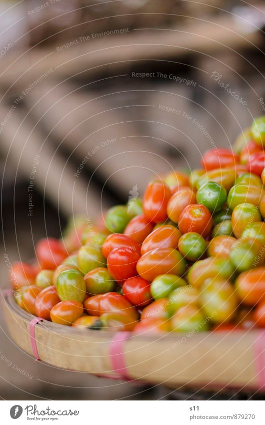 colorful tomatoes Food Vegetable Tomato Nutrition Organic produce Vegetarian diet Glittering Illuminate Exotic Fresh Healthy Good Small Natural Round Juicy Sour