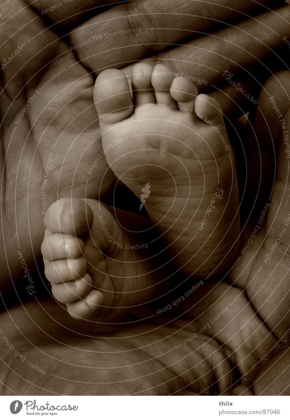 ...are so little feet... Hand Safety (feeling of) Toes Toddler Baby Feet Sepia Parents new earthling Man Barefoot