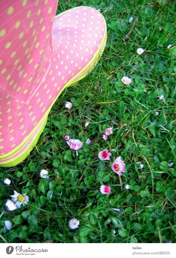 Rosa's gumboots I Pink Dappled Rubber boots Footwear Boots Grass Flower Daisy Yellow Green Pattern Spring Jump Juicy Clothing patterned daisys wellies shoes