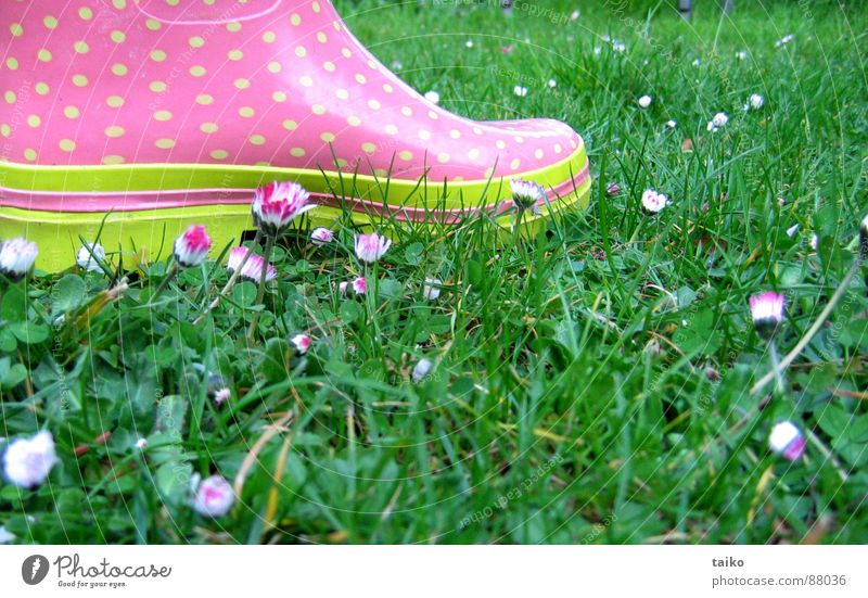 Rosa's gumboots II Pink Rubber boots Footwear Boots Grass Flower Daisy Yellow Green Pattern Dappled Spring Jump Juicy Clothing wellies shoes Lawn flowers daisys