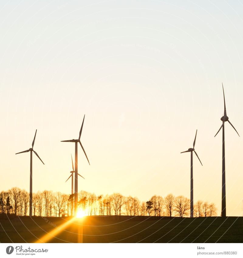 and cut Sun Energy industry Wind energy plant Sky Cloudless sky Sunrise Sunset Sunlight Spring Autumn Winter Beautiful weather Tree Field Movement Together