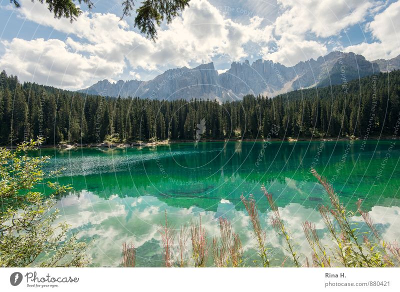 Lake Karer II Environment Landscape Plant Clouds Horizon Summer Beautiful weather Forest Mountain Kitsch Green Turquoise Vacation & Travel South Tyrol Dolomites