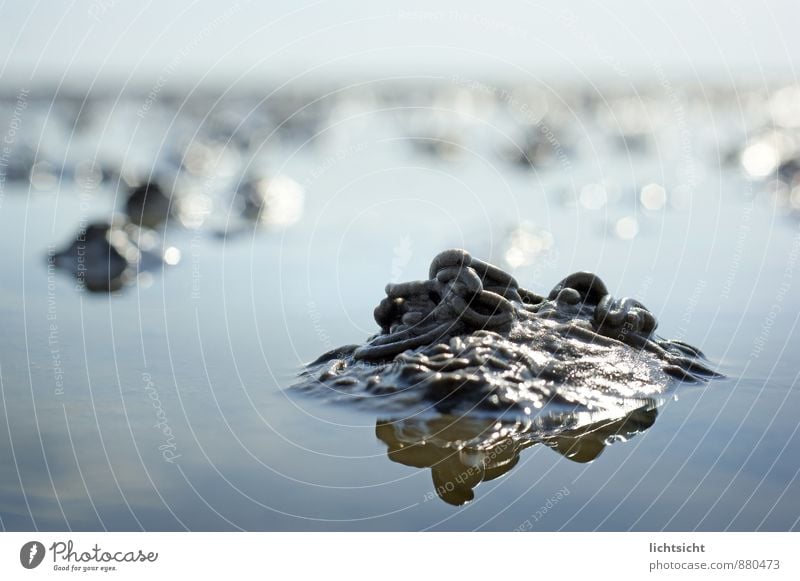 worm's-eye view Environment Nature Landscape Elements Water Cloudless sky Horizon Climate Beautiful weather Coast Beach North Sea Ocean Worm Far-off places