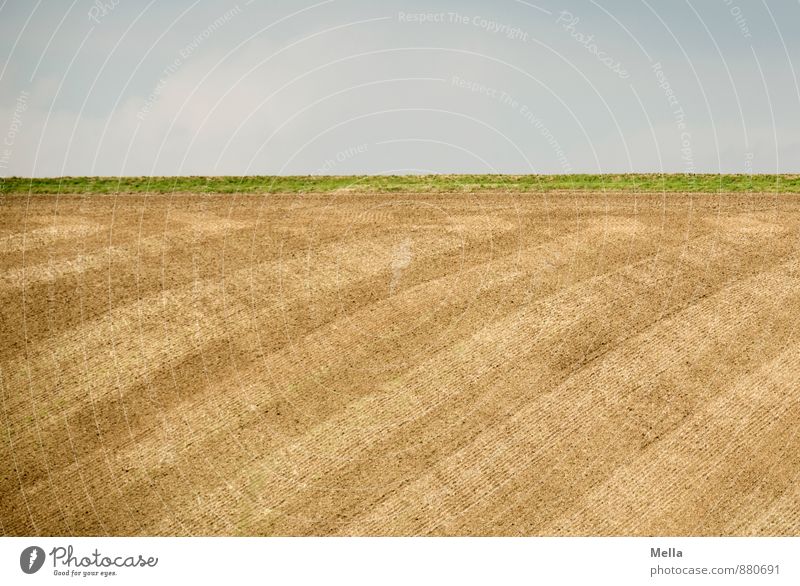 Well combed is half brushed Agriculture Forestry Environment Nature Landscape Earth Sky Field Line Stripe Tracks Plowed Natural Blue Brown Horizon Precision