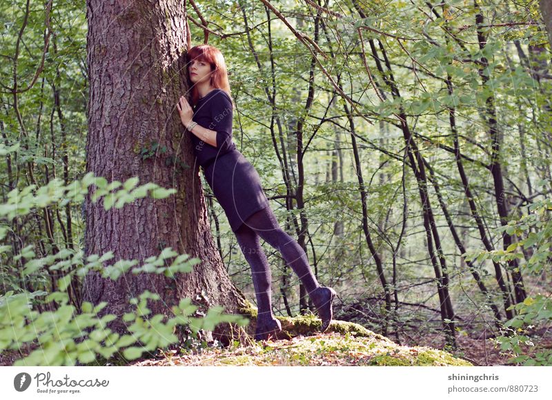 my friend, the tree. Agriculture Forestry Feminine Young woman Youth (Young adults) 1 Human being 30 - 45 years Adults Nature Tree Moss Dress Tights