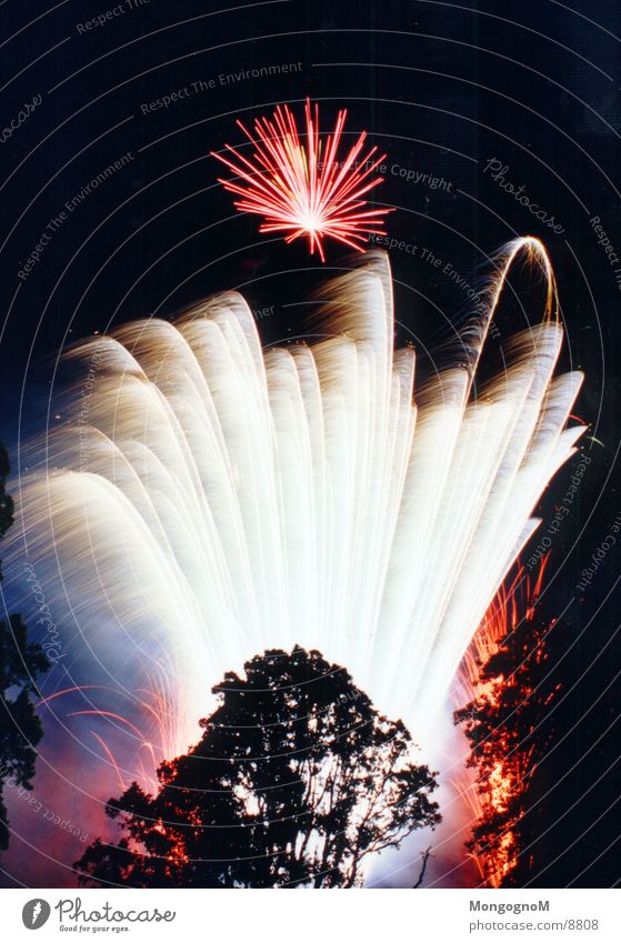 Fireworks2 Night Multicoloured Red Tree Photographic technology Firecracker Bright Spark
