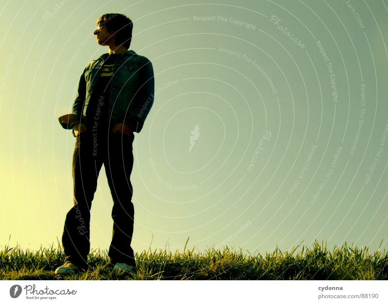 Standing there Illuminate Meadow Grass Green Style Sunset Posture Blade of grass Sunglasses Sunlight Think Man Fellow Worm's-eye view Emotions Human being Sky
