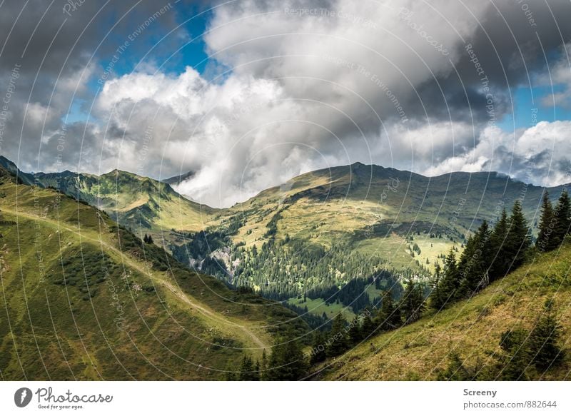 Up and down / In the valley Vacation & Travel Tourism Trip Adventure Far-off places Freedom Nature Landscape Sky Clouds Summer Weather Rock Alps Mountain Allgäu