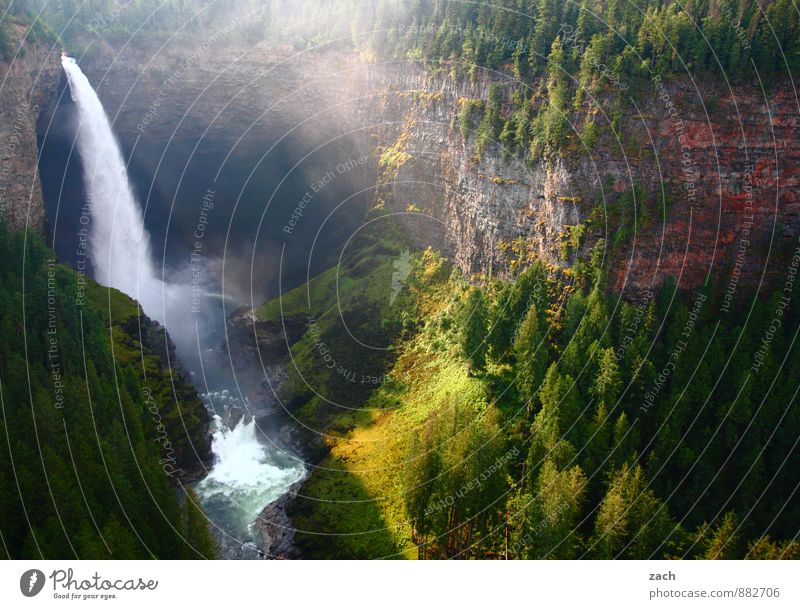 wasteful Nature Landscape Plant Water Drops of water Sunlight Spring Summer Beautiful weather Tree Grass Moss Park Meadow Forest Hill Rock Mountain River