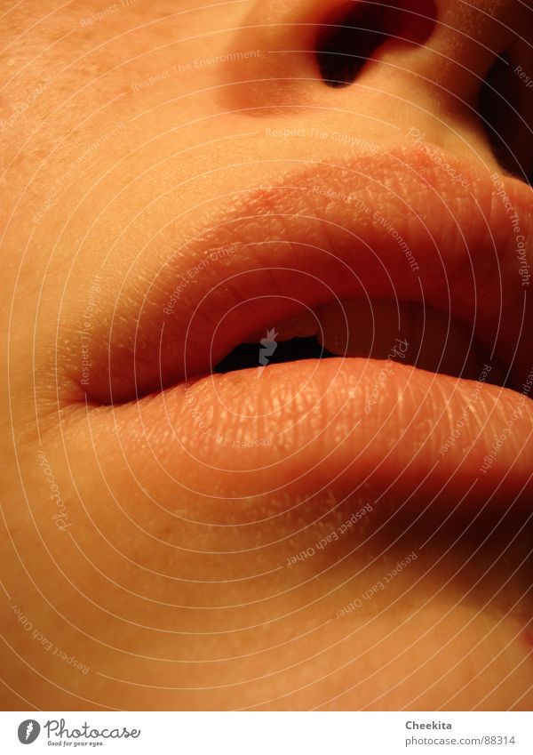 sympathetic Lips Freckles Undo Kissing Woman Beautiful Face Mouth Nose Detail Shadow Lust Require