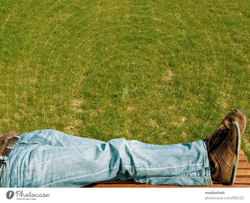 PHOTO WEATHER Multicoloured Man Sit Style Adaptive Meadow Grass Green Park Summer Break Gentleman Human being Life Relaxation Vacation & Travel To enjoy Pants