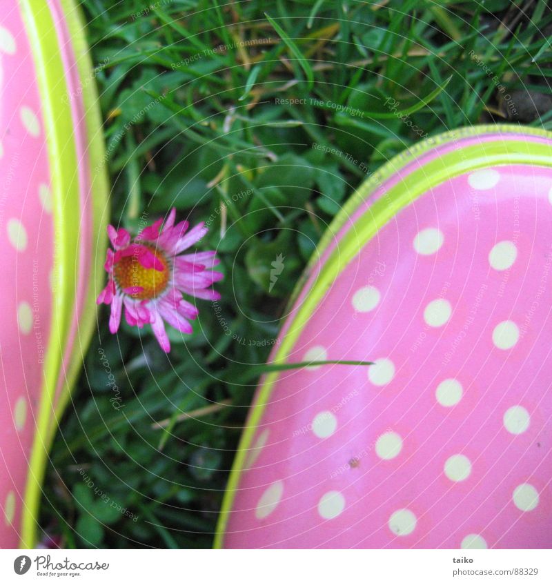 Rosa's Gumboots III Pink Rubber boots Footwear Boots Grass Flower Daisy Yellow Green Pattern Dappled Spring Jump Juicy Clothing wellies shoes Lawn flowers