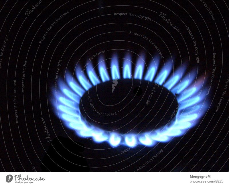 gas flame Stove & Oven Gas flame Physics Electrical equipment Technology Flame blue flame Warmth Macro (Extreme close-up)