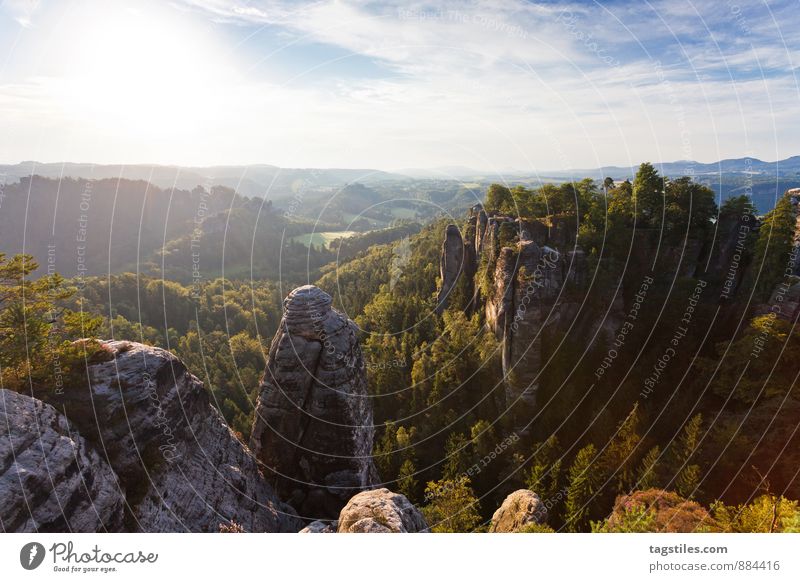 nature Elbsandstone mountains Sunrise Rock Mountain Dresden rathen Saxony Vantage point Attraction Tourism Tourist Attraction Vacation & Travel Relaxation