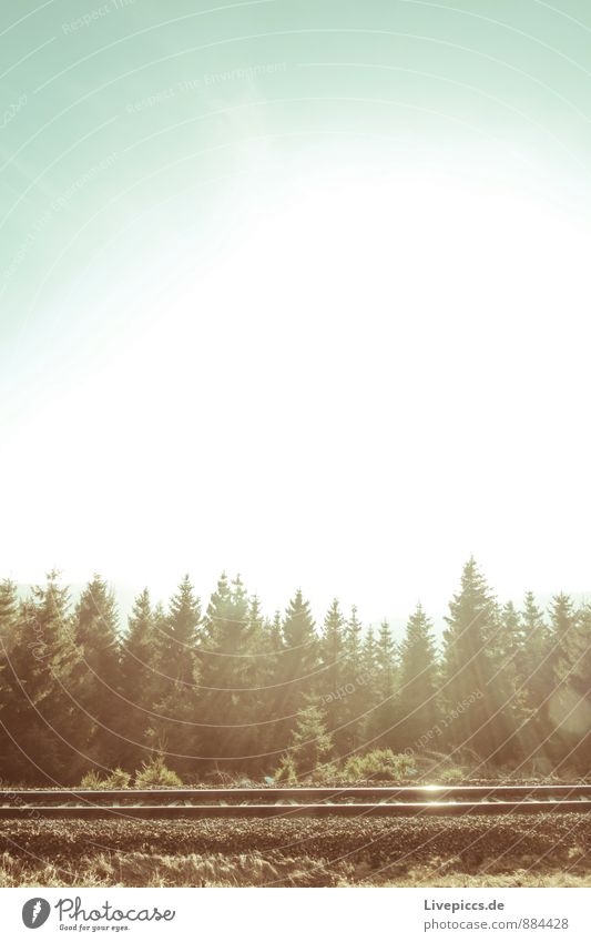 railway tracks Environment Nature Landscape Sky Cloudless sky Sun Spring Plant Forest Rail transport Railroad tracks Metal Blue Brown Silver Turquoise White