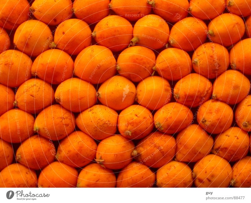 orange landscape Orange Nutrition Fruit Vegetarian diet Food Fruit- or Vegetable stall Orderliness Row Vitamin Healthy