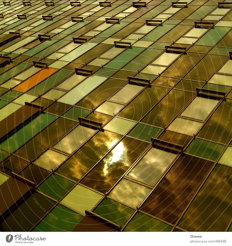 Beautiful living 19 Building Facade Office building Window High-rise Grid New building Reflection Clouds Green Brown Modern Sun Weather protection Architecture