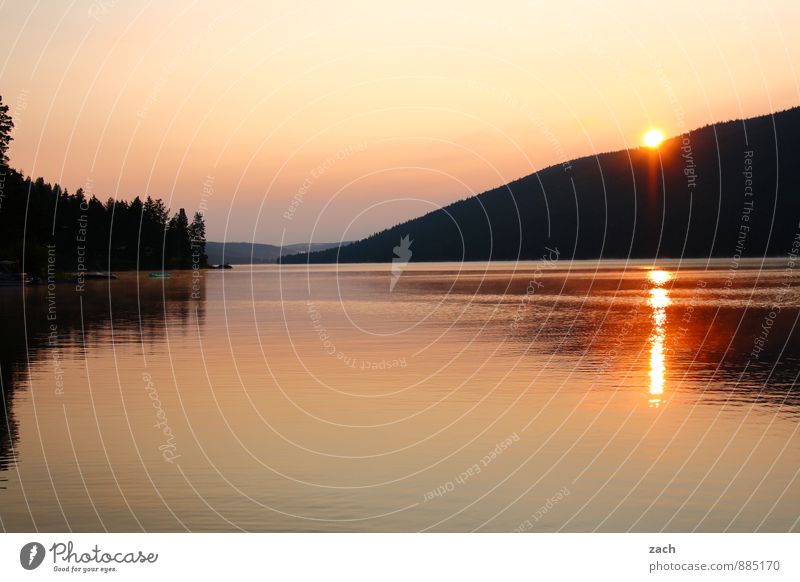 Well-being oasis at Loon Lake in the morning. Far-off places Landscape Water Cloudless sky Sunrise Sunset Sunlight Summer Beautiful weather Tree Hill Coast