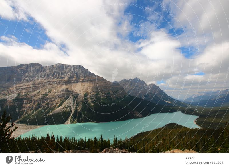 View of Peyto Lake Vacation & Travel Tourism Far-off places Nature Landscape Water Sky Clouds Sunlight Summer Beautiful weather Plant Tree Forest Rock Mountain