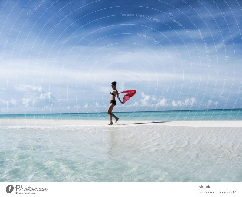 beach run#5 Beach Ocean Vacation & Travel Woman Jump Hop Bikini Maldives India Beautiful Navigation Playing Sun Walking Joy Water Weather Clarity Bright Summer