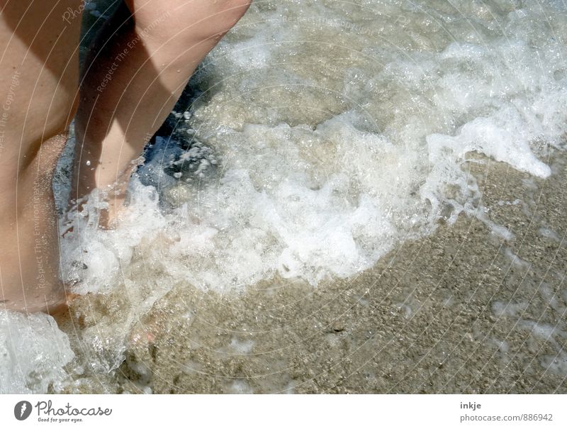breakwater Lifestyle Joy Wellness Swimming & Bathing Leisure and hobbies Vacation & Travel Summer Summer vacation Beach Ocean Waves Sandy beach Adults Legs 1