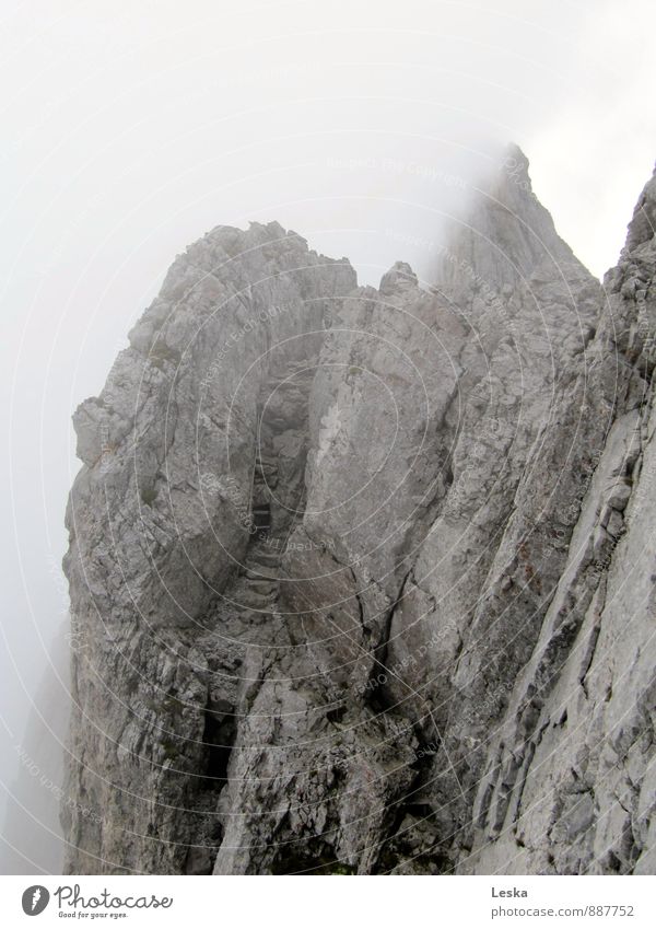 Climb into the fog Elements Sky Fog Alps Mountain Going Looking Hiking Sharp-edged Gray Respect Adventure Effort Surrealism Future Rock Lanes & trails Stairs