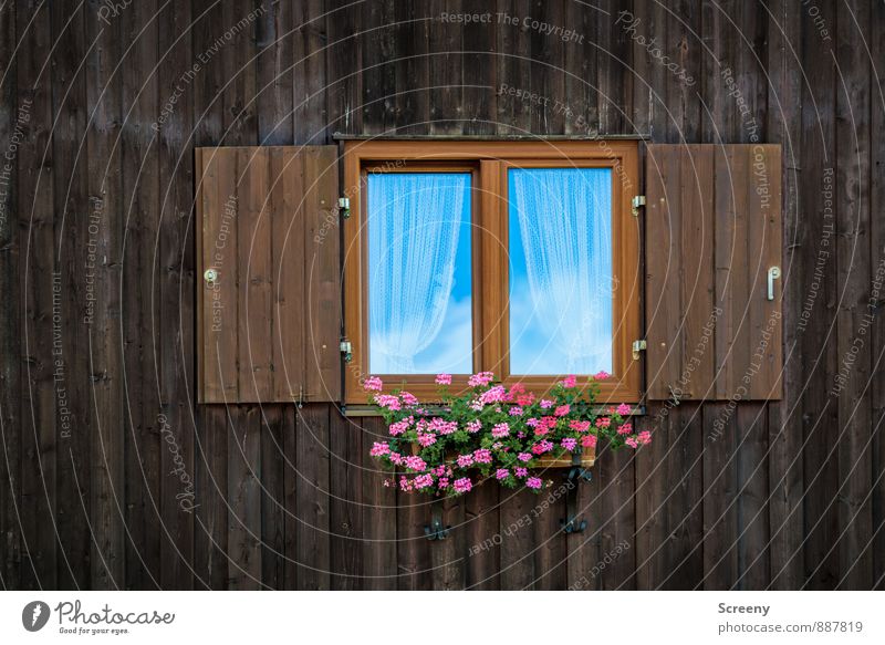 What do you want, a window? Vacation & Travel Tourism Trip Sky Clouds Summer Plant Flower Village Facade Window Shutter Cliche Calm Leisure and hobbies Idyll