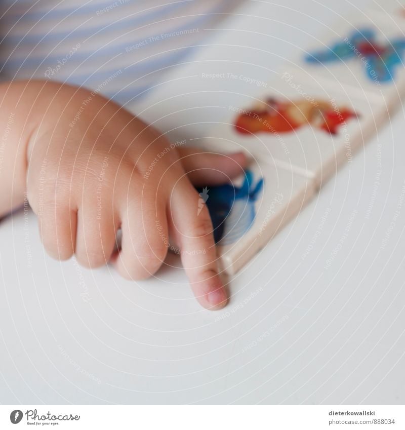 Small Hand Playing Kindergarten Child Study Girl Infancy Fingers Joy Happy Colour photo Interior shot Copy Space bottom