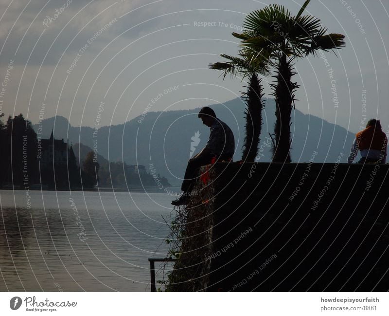 Misty Lake Palm tree Man Think Thought Mountain Sit Evening Freedom ponder