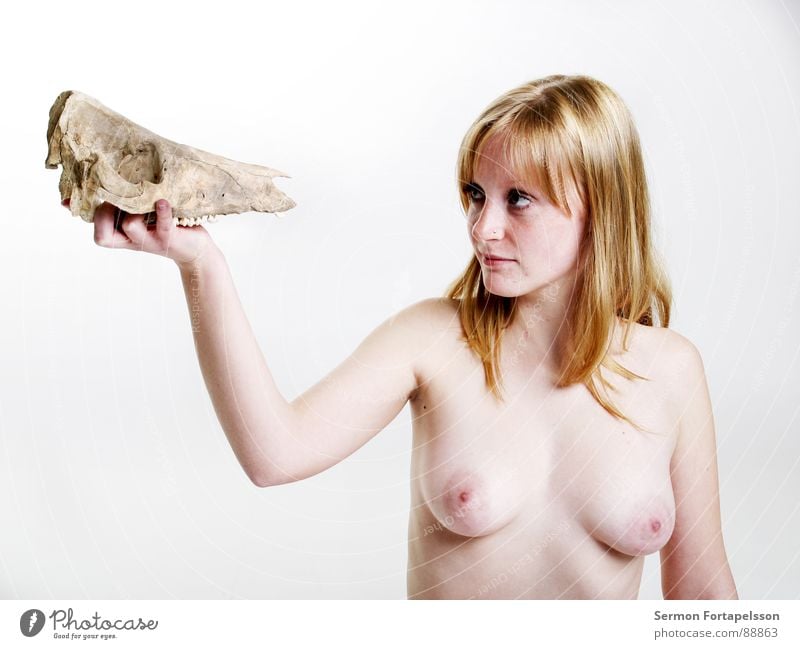 D. van der Nies 7179 Woman Naked White Blonde Red-haired Animal Pallid Bleached Hard Soft Skeleton Head Nude photography Mammal Skin Bright Eyes Face