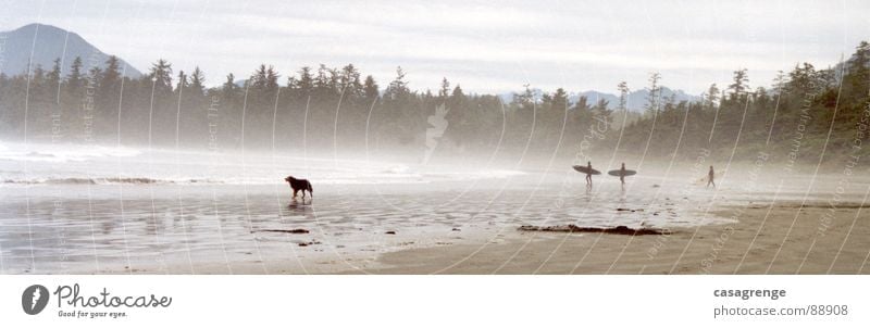 Tofino jumping surfing Beach Dog Surfer Canada Ocean Long Beach Vancouver Island Forest Panorama (View) Steam Fog Sand Large Panorama (Format)