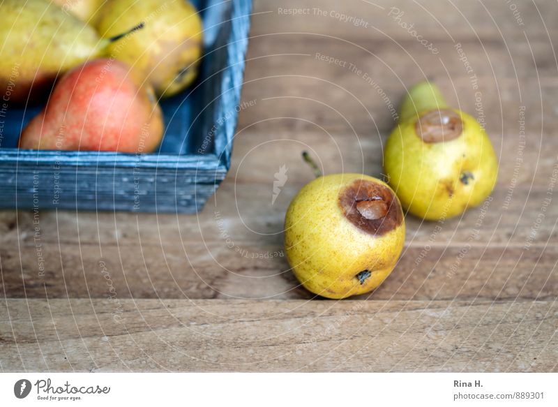 windfall Fruit Organic produce Vegetarian diet Joie de vivre (Vitality) pears Pear Spoiled Windfall Wooden table Harvest Colour photo Deserted Copy Space bottom