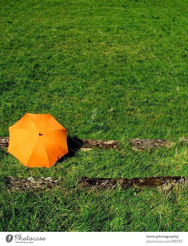 The Green Ocean Cloppenburg Umbrella Sunshade Storm Clouds Grass Blade of grass Meadow Summer Field Spring Calm Loneliness Relaxation Sunbathing Forget Reef