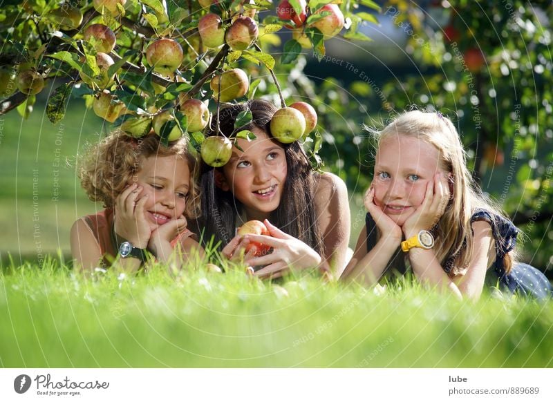 apple girls Food Fruit Apple Healthy Garden Human being Girl Infancy 3 8 - 13 years Child Nature Landscape Autumn Meadow Natural Joy Happiness Contentment