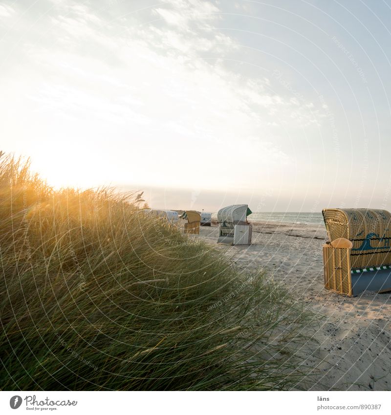 late summer's day Relaxation Calm Vacation & Travel Tourism Trip Freedom Summer Summer vacation Sun Beach Ocean Sand Sky Beautiful weather Grass Wild plant
