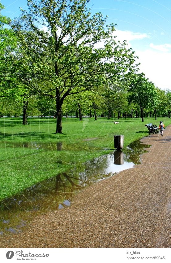 parking lane @ Hyde Park Green Puddle Child Park bench Tree Meadow Hydepark England To go for a walk Breathe Air Vacation & Travel Spring Garden Water